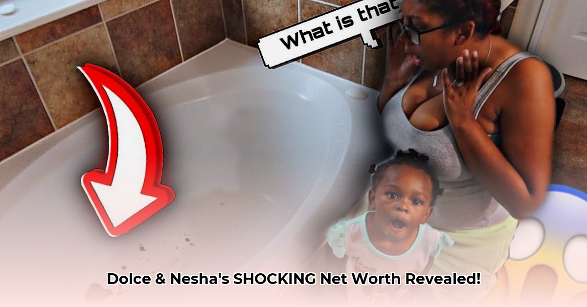 dolce-and-nesha-net-worth